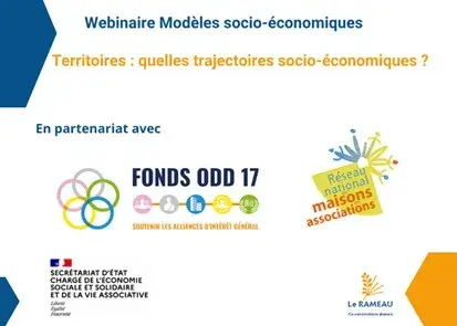 Visuel-50e-Webinaire-TSE.jpg