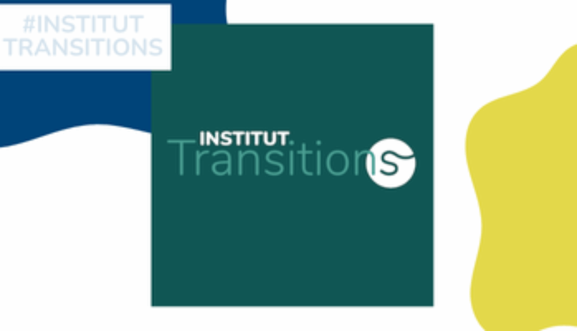 Webinaire Institut Transitions