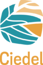 Logo du Ciedel Logo du Ciedel